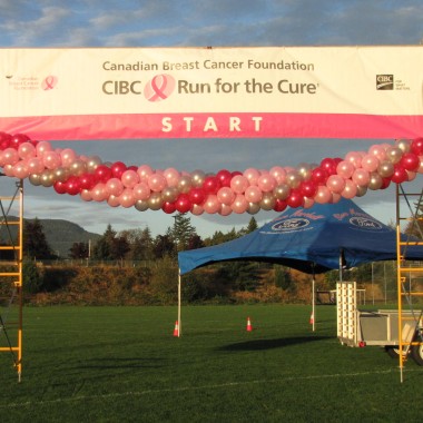 Run for the Cure 2