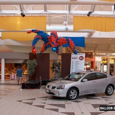 Star Spray – North Town Centre